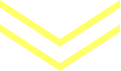 Chevron jaune petit